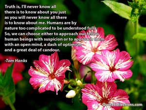 tom_hanks_quotes Quotes 8